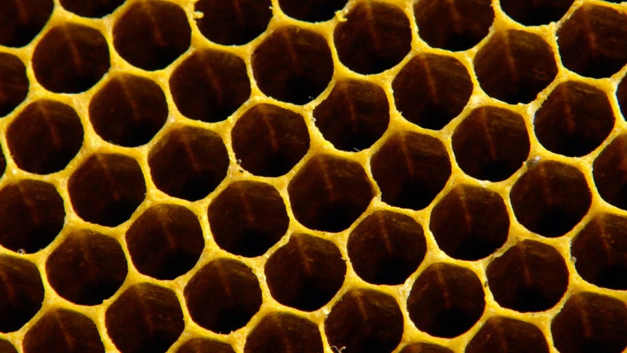honey